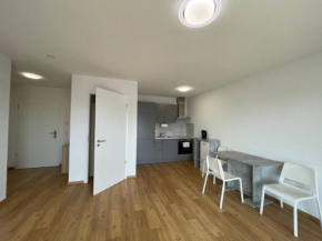 Panorama Apartment - Neubau mit Balkon in Kehl